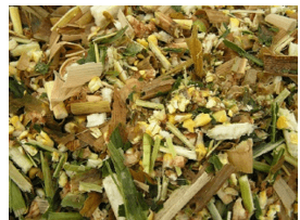 Giáo án Chuyên đề Công nghệ 12 Kết nối tri thức Bài 1: Bài mở đầu