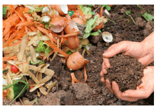 Giáo án Chuyên đề Công nghệ 12 Kết nối tri thức Bài 1: Bài mở đầu