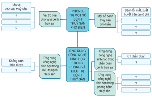 Giáo án Công nghệ 12 Cánh diều Ôn tập chủ đề 9 (ảnh 2)