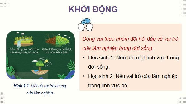 Giáo án điện tử Công nghệ 12 Kết nối tri thức Bài 1: Vai trò và triển vọng của lâm nghiệp | PPT Công nghệ 12
