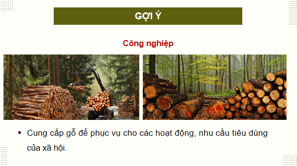 Giáo án điện tử Công nghệ 12 Kết nối tri thức Bài 1: Vai trò và triển vọng của lâm nghiệp | PPT Công nghệ 12