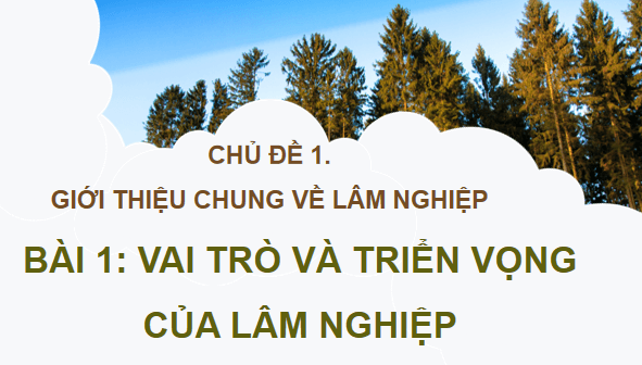 Giáo án điện tử Công nghệ 12 Kết nối tri thức Bài 1: Vai trò và triển vọng của lâm nghiệp | PPT Công nghệ 12