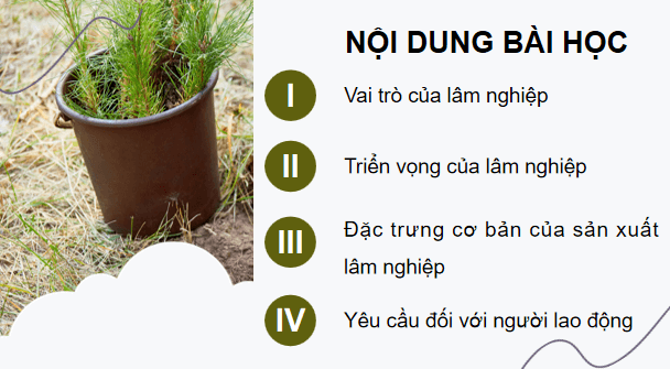 Giáo án điện tử Công nghệ 12 Kết nối tri thức Bài 1: Vai trò và triển vọng của lâm nghiệp | PPT Công nghệ 12