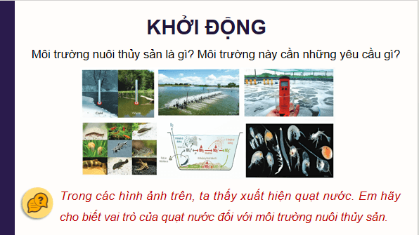 Giáo án điện tử Công nghệ 12 Kết nối tri thức Bài 10: Giới thiệu về môi trường nuôi thuỷ sản | PPT Công nghệ 12