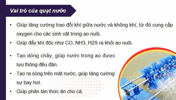 Giáo án điện tử Công nghệ 12 Kết nối tri thức Bài 10: Giới thiệu về môi trường nuôi thuỷ sản | PPT Công nghệ 12