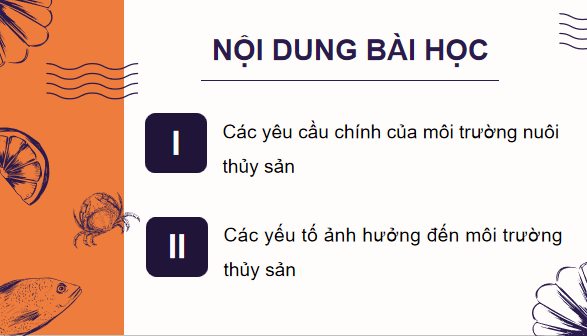Giáo án điện tử Công nghệ 12 Kết nối tri thức Bài 10: Giới thiệu về môi trường nuôi thuỷ sản | PPT Công nghệ 12