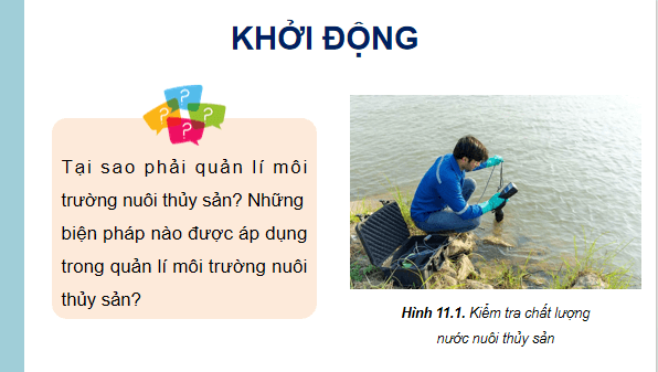 Giáo án điện tử Công nghệ 12 Kết nối tri thức Bài 11: Quản lí môi trường nuôi thuỷ sản | PPT Công nghệ 12
