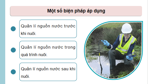Giáo án điện tử Công nghệ 12 Kết nối tri thức Bài 11: Quản lí môi trường nuôi thuỷ sản | PPT Công nghệ 12