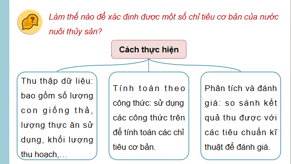 Giáo án điện tử Công nghệ 12 Kết nối tri thức Bài 11: Quản lí môi trường nuôi thuỷ sản | PPT Công nghệ 12