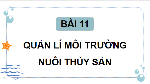 Giáo án điện tử Công nghệ 12 Kết nối tri thức Bài 11: Quản lí môi trường nuôi thuỷ sản | PPT Công nghệ 12