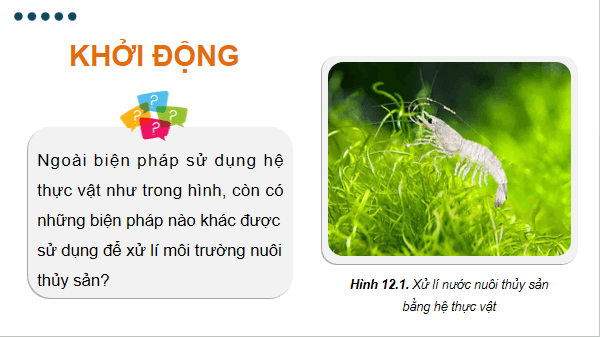 Giáo án điện tử Công nghệ 12 Kết nối tri thức Bài 12: Biện pháp xử lí môi trường nuôi thuỷ sản | PPT Công nghệ 12