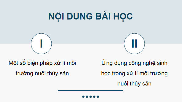 Giáo án điện tử Công nghệ 12 Kết nối tri thức Bài 12: Biện pháp xử lí môi trường nuôi thuỷ sản | PPT Công nghệ 12