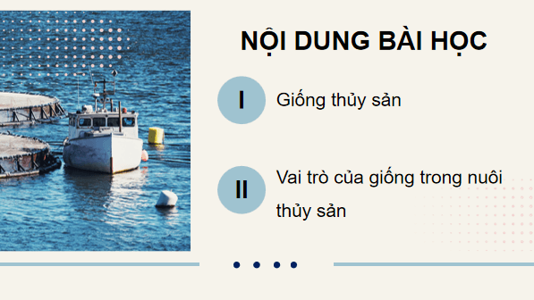 Giáo án điện tử Công nghệ 12 Kết nối tri thức Bài 13: Vai trò của giống thuỷ sản | PPT Công nghệ 12