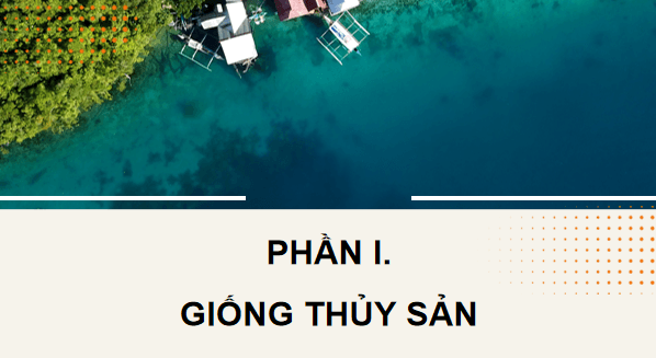 Giáo án điện tử Công nghệ 12 Kết nối tri thức Bài 13: Vai trò của giống thuỷ sản | PPT Công nghệ 12