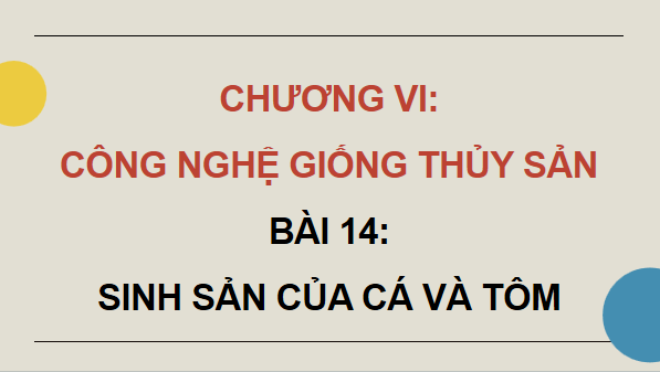 Giáo án điện tử Công nghệ 12 Kết nối tri thức Bài 14: Sinh sản của cá và tôm | PPT Công nghệ 12
