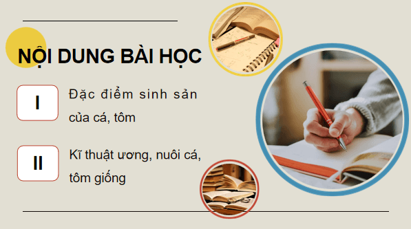 Giáo án điện tử Công nghệ 12 Kết nối tri thức Bài 14: Sinh sản của cá và tôm | PPT Công nghệ 12