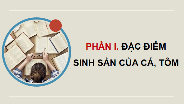 Giáo án điện tử Công nghệ 12 Kết nối tri thức Bài 14: Sinh sản của cá và tôm | PPT Công nghệ 12