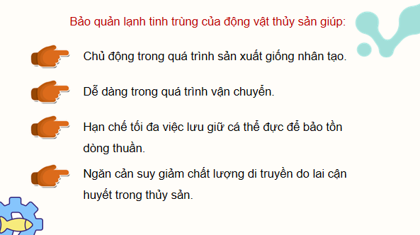 Giáo án điện tử Công nghệ 12 Kết nối tri thức Bài 15: Ứng dụng công nghệ sinh học trong chọn và nhân giống thuỷ sản | PPT Công nghệ 12
