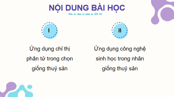 Giáo án điện tử Công nghệ 12 Kết nối tri thức Bài 15: Ứng dụng công nghệ sinh học trong chọn và nhân giống thuỷ sản | PPT Công nghệ 12