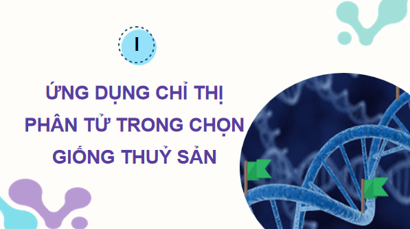Giáo án điện tử Công nghệ 12 Kết nối tri thức Bài 15: Ứng dụng công nghệ sinh học trong chọn và nhân giống thuỷ sản | PPT Công nghệ 12