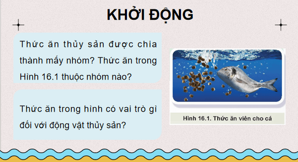 Giáo án điện tử Công nghệ 12 Kết nối tri thức Bài 16: Thức ăn thuỷ sản | PPT Công nghệ 12