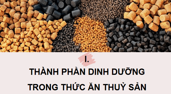 Giáo án điện tử Công nghệ 12 Kết nối tri thức Bài 16: Thức ăn thuỷ sản | PPT Công nghệ 12