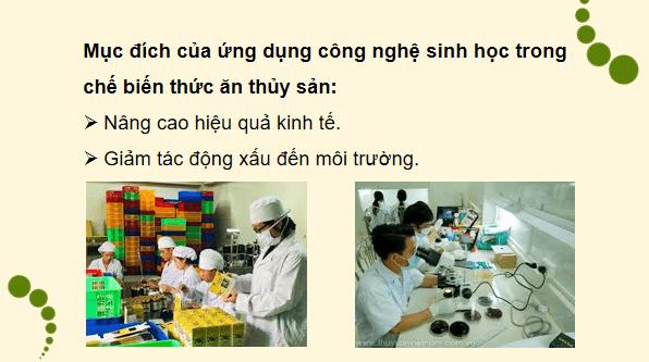 Giáo án điện tử Công nghệ 12 Kết nối tri thức Bài 18: Ứng dụng công nghệ sinh học trong bảo quản, chế biến thức ăn thuỷ sản | PPT Công nghệ 12