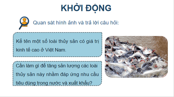 Giáo án điện tử Công nghệ 12 Kết nối tri thức Bài 19: Công nghệ nuôi một số loài thuỷ sản phổ biến ở Việt Nam | PPT Công nghệ 12