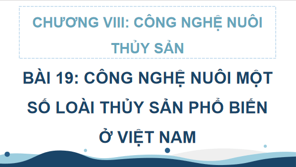 Giáo án điện tử Công nghệ 12 Kết nối tri thức Bài 19: Công nghệ nuôi một số loài thuỷ sản phổ biến ở Việt Nam | PPT Công nghệ 12