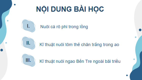 Giáo án điện tử Công nghệ 12 Kết nối tri thức Bài 19: Công nghệ nuôi một số loài thuỷ sản phổ biến ở Việt Nam | PPT Công nghệ 12