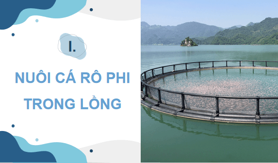 Giáo án điện tử Công nghệ 12 Kết nối tri thức Bài 19: Công nghệ nuôi một số loài thuỷ sản phổ biến ở Việt Nam | PPT Công nghệ 12