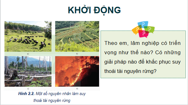 Giáo án điện tử Công nghệ 12 Kết nối tri thức Bài 2: Các hoạt động lâm nghiệp cơ bản và nguyên nhân chủ yếu làm suy thoái tài nguyên rừng | PPT Công nghệ 12