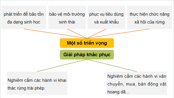 Giáo án điện tử Công nghệ 12 Kết nối tri thức Bài 2: Các hoạt động lâm nghiệp cơ bản và nguyên nhân chủ yếu làm suy thoái tài nguyên rừng | PPT Công nghệ 12
