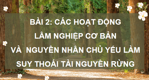Giáo án điện tử Công nghệ 12 Kết nối tri thức Bài 2: Các hoạt động lâm nghiệp cơ bản và nguyên nhân chủ yếu làm suy thoái tài nguyên rừng | PPT Công nghệ 12