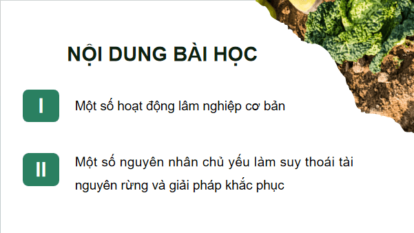 Giáo án điện tử Công nghệ 12 Kết nối tri thức Bài 2: Các hoạt động lâm nghiệp cơ bản và nguyên nhân chủ yếu làm suy thoái tài nguyên rừng | PPT Công nghệ 12