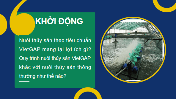 Giáo án điện tử Công nghệ 12 Kết nối tri thức Bài 20: Nuôi thuỷ sản theo tiêu chuẩn VietGAP | PPT Công nghệ 12