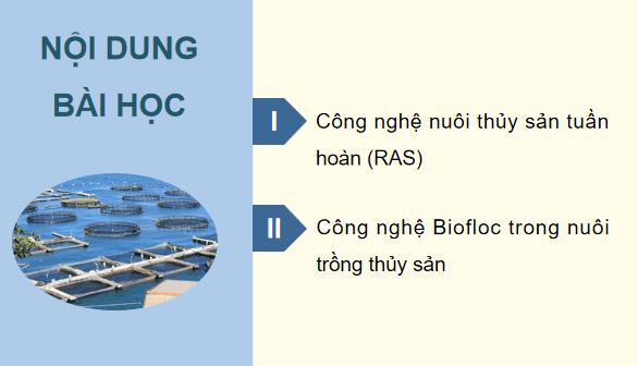 Giáo án điện tử Công nghệ 12 Kết nối tri thức Bài 21: Một số ứng dụng công nghệ cao trong nuôi thuỷ sản | PPT Công nghệ 12