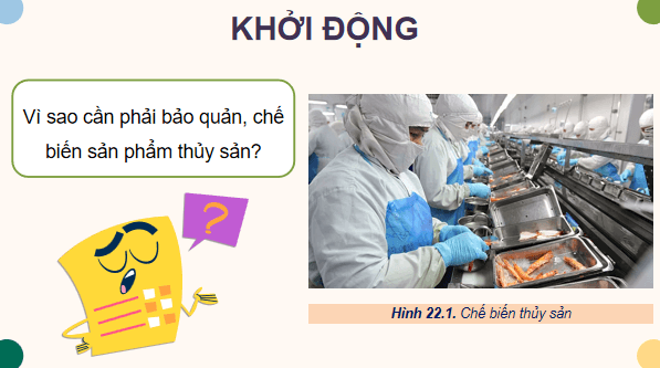 Giáo án điện tử Công nghệ 12 Kết nối tri thức Bài 22: Bảo quản và chế biến sản phẩm thuỷ sản sản | PPT Công nghệ 12