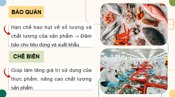 Giáo án điện tử Công nghệ 12 Kết nối tri thức Bài 22: Bảo quản và chế biến sản phẩm thuỷ sản sản | PPT Công nghệ 12