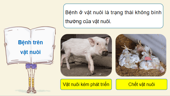 Giáo án điện tử Công nghệ 12 Kết nối tri thức Bài 23: Vai trò của phòng, trị bệnh thuỷ sản | PPT Công nghệ 12