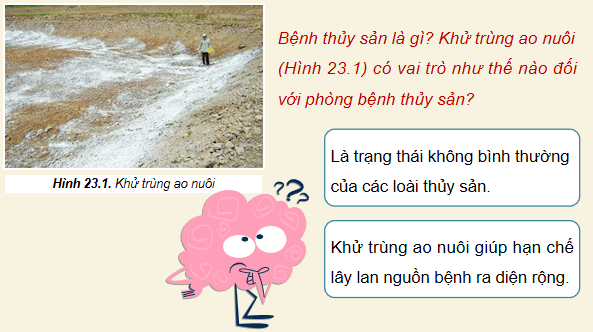 Giáo án điện tử Công nghệ 12 Kết nối tri thức Bài 23: Vai trò của phòng, trị bệnh thuỷ sản | PPT Công nghệ 12