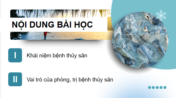 Giáo án điện tử Công nghệ 12 Kết nối tri thức Bài 23: Vai trò của phòng, trị bệnh thuỷ sản | PPT Công nghệ 12