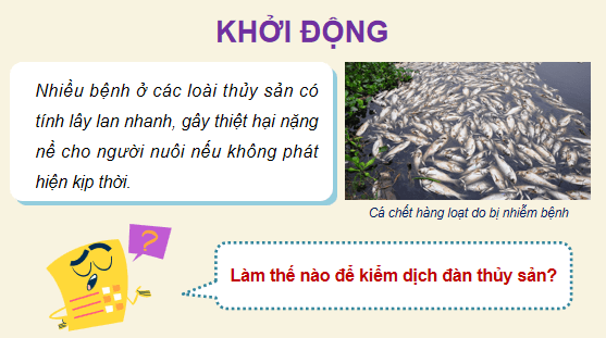 Giáo án điện tử Công nghệ 12 Kết nối tri thức Bài 25: Ứng dụng công nghệ sinh học trong phòng, trị bệnh thuỷ sản | PPT Công nghệ 12