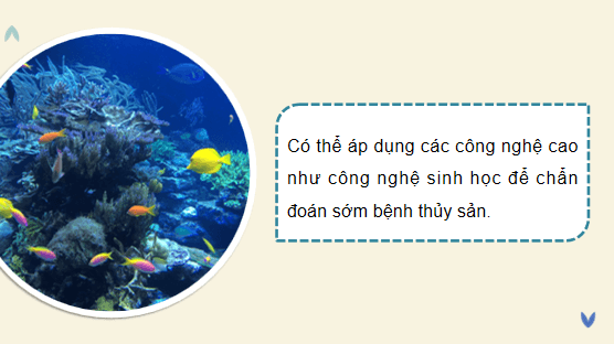 Giáo án điện tử Công nghệ 12 Kết nối tri thức Bài 25: Ứng dụng công nghệ sinh học trong phòng, trị bệnh thuỷ sản | PPT Công nghệ 12
