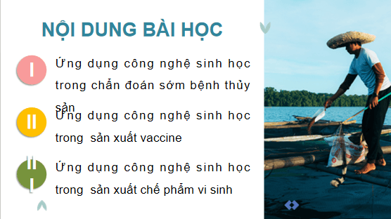 Giáo án điện tử Công nghệ 12 Kết nối tri thức Bài 25: Ứng dụng công nghệ sinh học trong phòng, trị bệnh thuỷ sản | PPT Công nghệ 12
