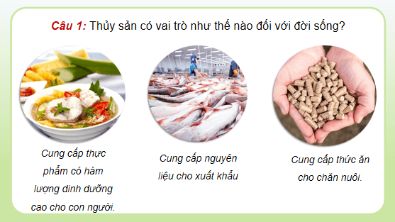 Giáo án điện tử Công nghệ 12 Kết nối tri thức Bài 26: Bảo vệ nguồn lợi thuỷ sản | PPT Công nghệ 12