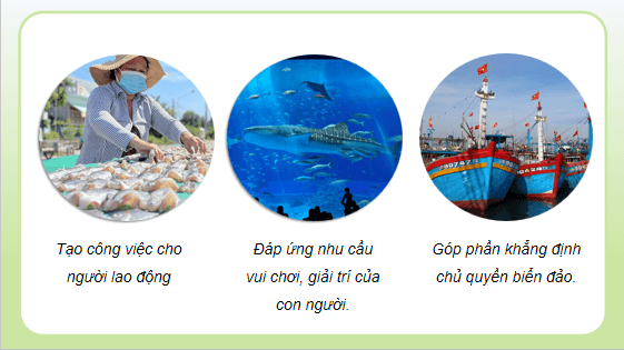 Giáo án điện tử Công nghệ 12 Kết nối tri thức Bài 26: Bảo vệ nguồn lợi thuỷ sản | PPT Công nghệ 12