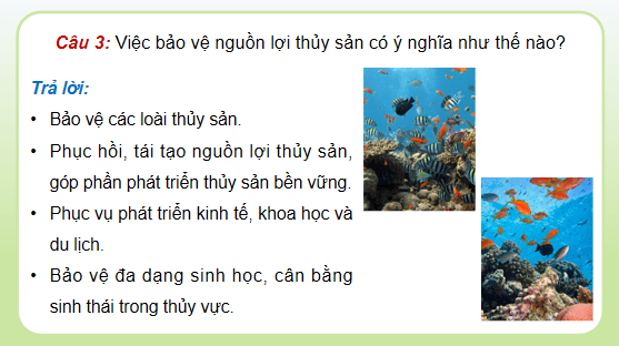Giáo án điện tử Công nghệ 12 Kết nối tri thức Bài 26: Bảo vệ nguồn lợi thuỷ sản | PPT Công nghệ 12