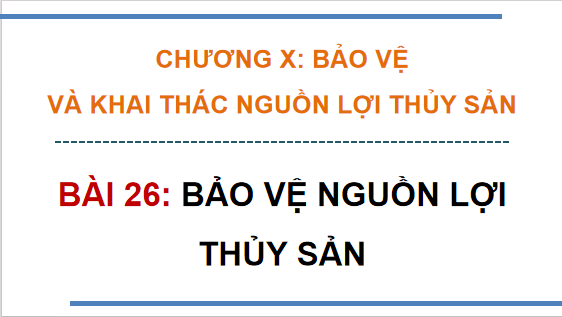 Giáo án điện tử Công nghệ 12 Kết nối tri thức Bài 26: Bảo vệ nguồn lợi thuỷ sản | PPT Công nghệ 12