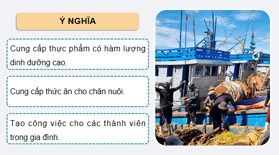 Giáo án điện tử Công nghệ 12 Kết nối tri thức Bài 27: Khai thác nguồn lợi thuỷ sản | PPT Công nghệ 12